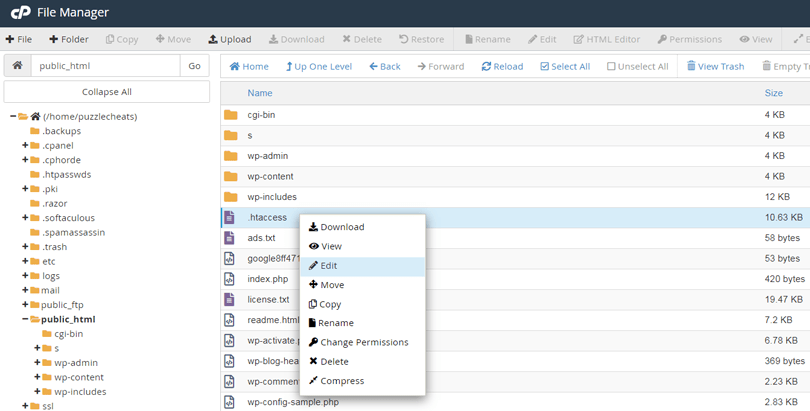 Editing .htsaccess file in WP