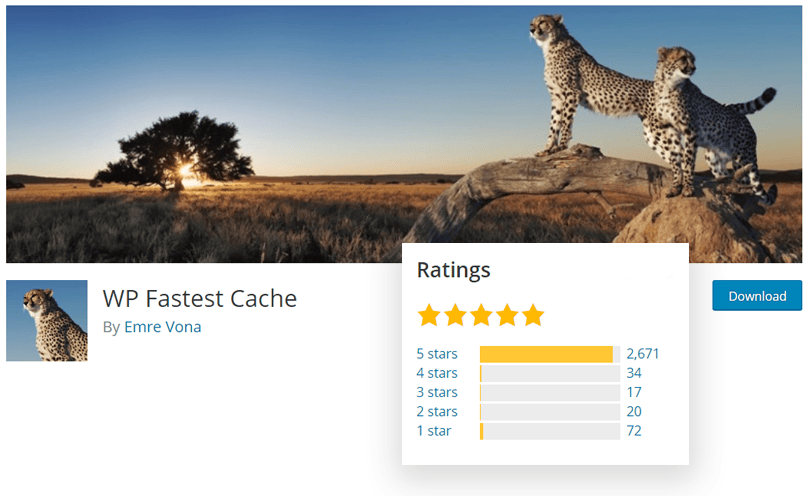 WP Fastest Cache